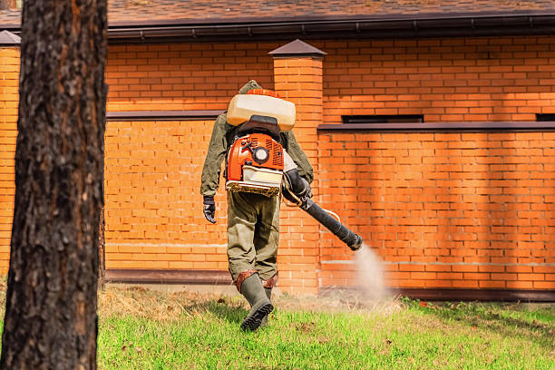 Top rated local Ant Control specialists in Delphos, OH